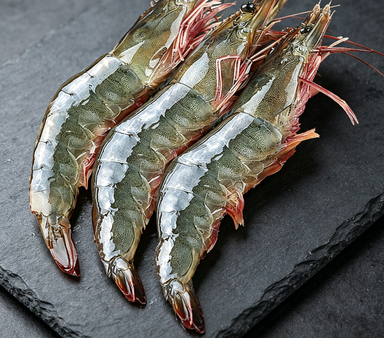 Premium Whole Shrimp