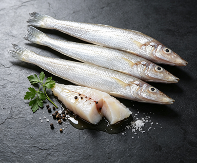 Fresh Sea Scad Fish